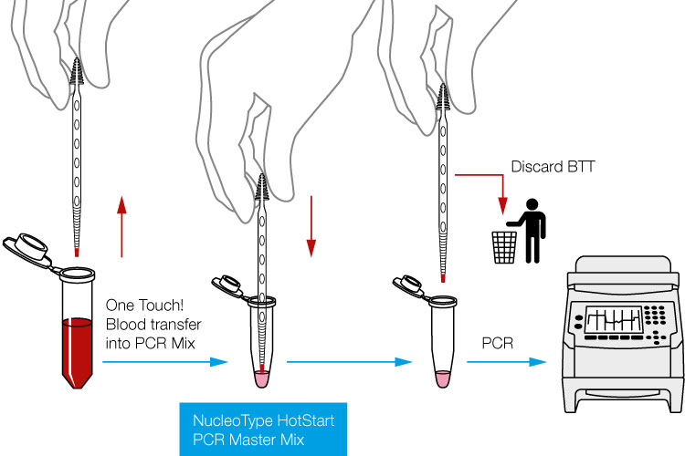 Direct PCR Direct PCR gDNA izolacja i amplifikacja z próbek krwi NucleoType Blood PCR